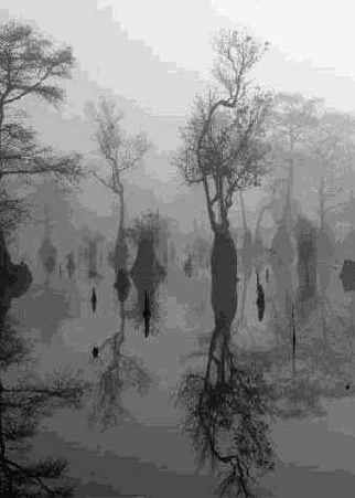 Фотография 9 8