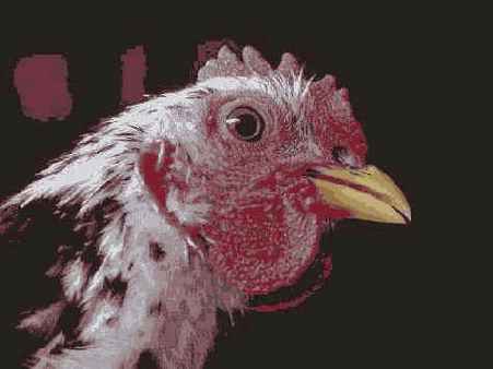 Исходное изображение