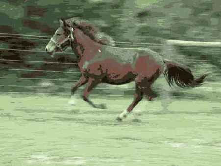 и необходимости использования относительного отверстия