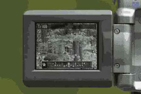 Фотография 12 11