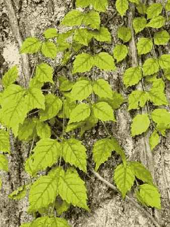 Фотография 15 3