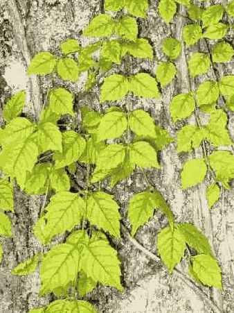 Фотография 15 4