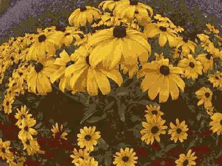 Исходное изображение