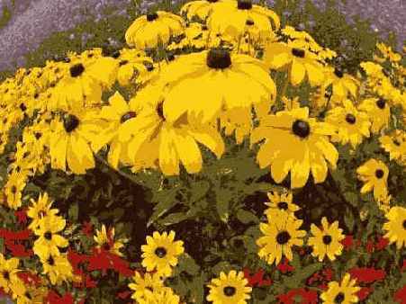 Отредактированное изображение