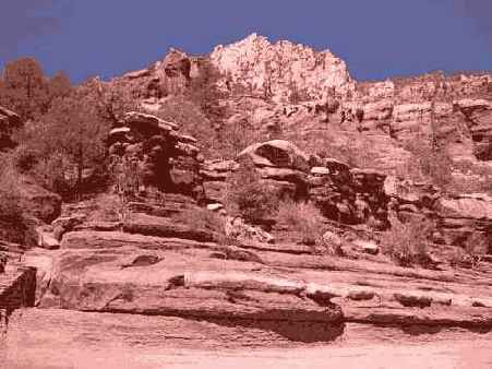 Фотография 19 4