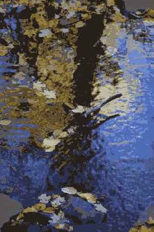 Фотография 19 6