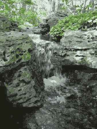 Фотография 19 8