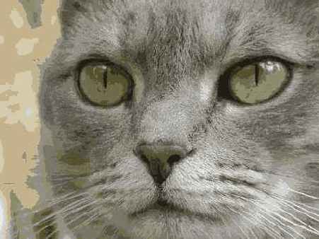 Исходное изображение