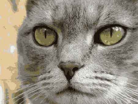 Отредактированное изображение