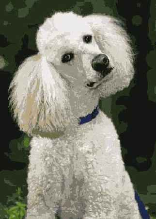 Фотография 28 3