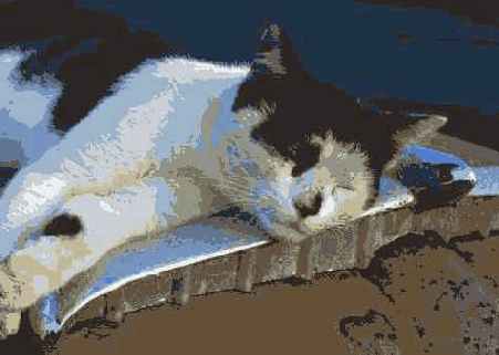 Фотография 28 5