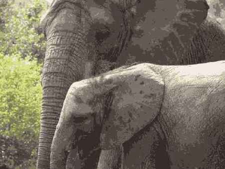 Исходное изображение