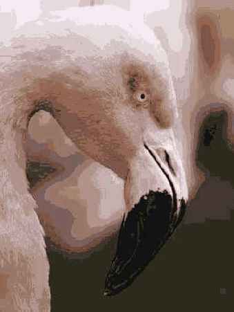 Не стойте слишком долго перед