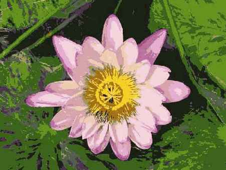 Отредактированное изображение