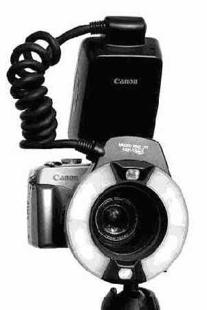 Фотография 30 3