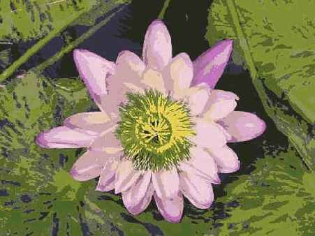 Фотография 30 4