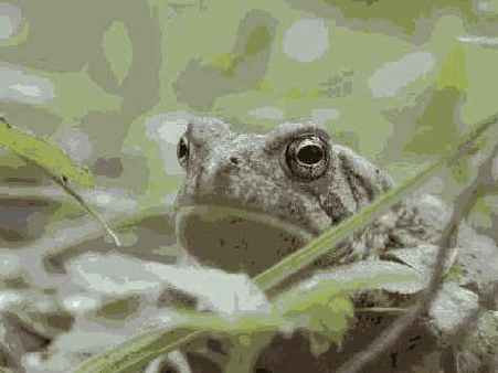 Исходное изображение