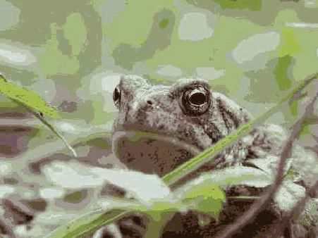 Отредактированное изображение