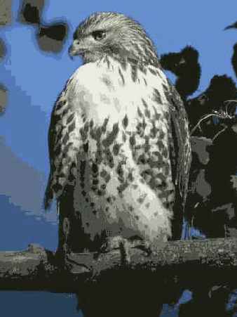 Исходное изображение