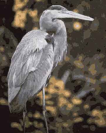 Подберите экспозицию таким образом, чтобы