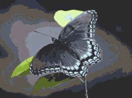 Правильно выбрать освещение при фотографировании