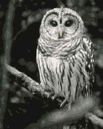 к одной из групп новостей