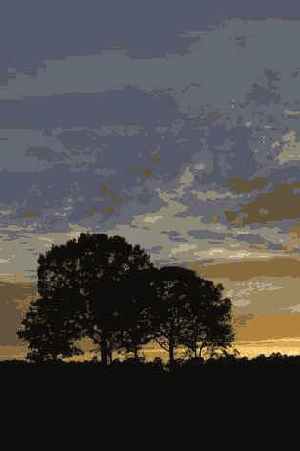 Фотография 34 6