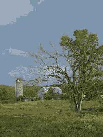 Исходное изображение