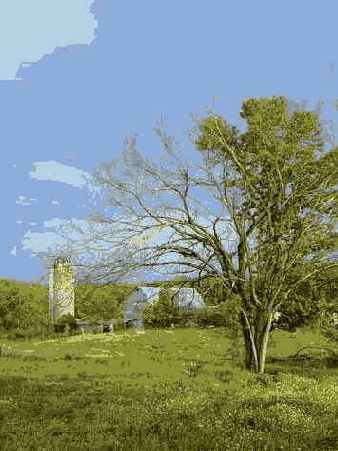 Отредактированное изображение