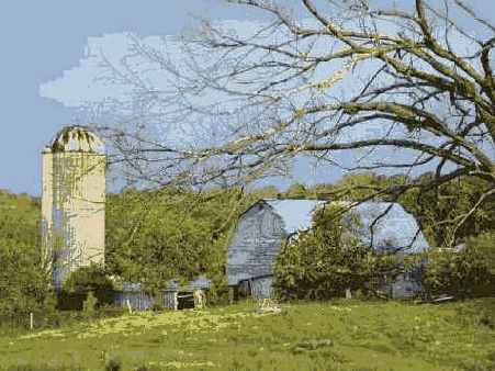 Фотография 35 5