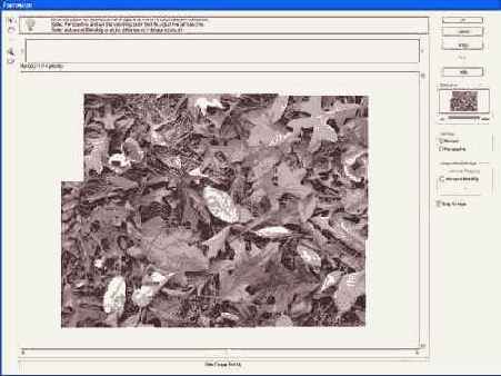 Фотография 36 6