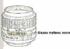 ����� ������� ����