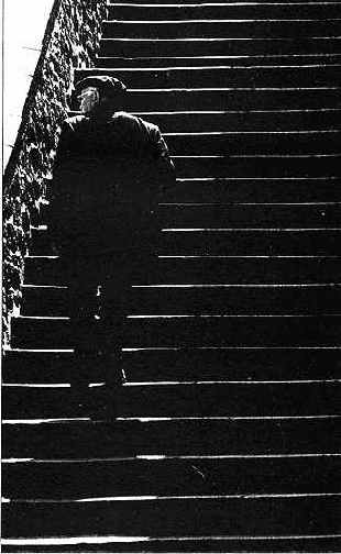 Длиннофокусный объектив