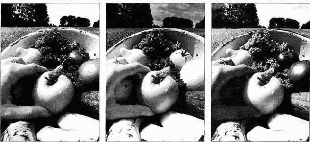 Отсутствие фильтра