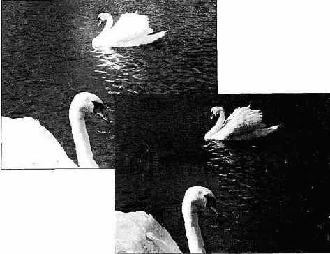 Техника измерения