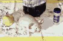 Использование режима контраста