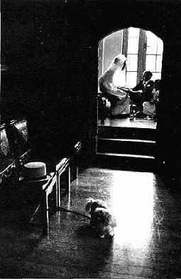 Двери в роли окон