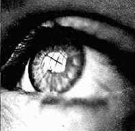 Глаза и окна