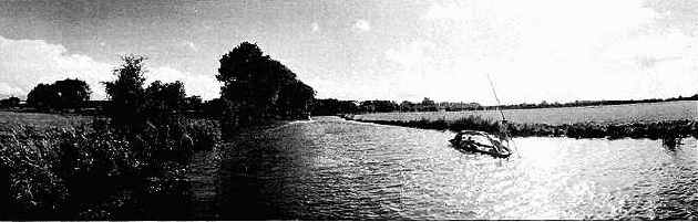 Узкий горизонтальный формат