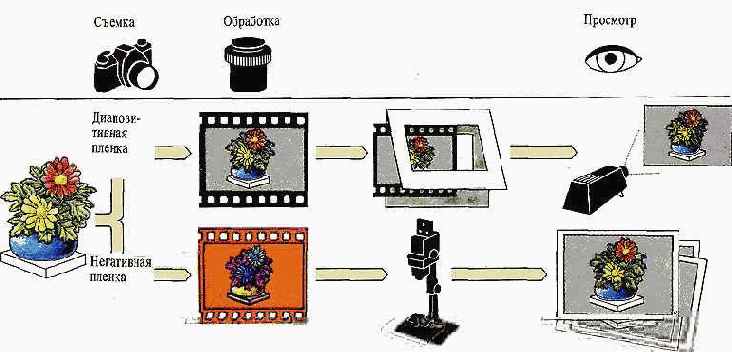 Диапозитивы и отпечатки