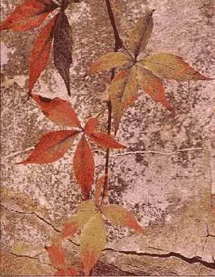 Контраст с черным и белым