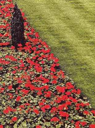 Контраст с цветом