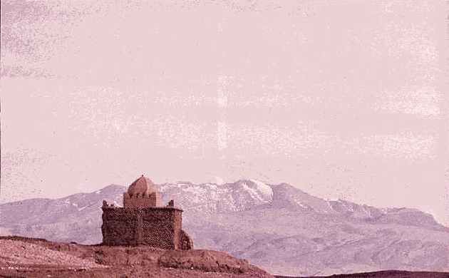 Холодная гармония