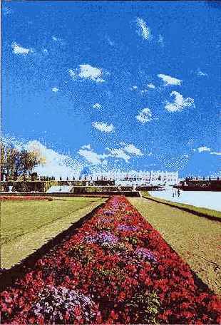 Симметрия и яркий цвет