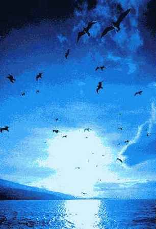 Синие светофильтры