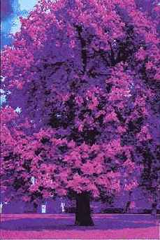 �������� �������������� ������ � ��������� �����