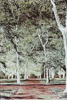 Заданное несоответствие пленки и источника света