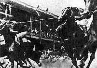 к рассказу Б. Ньюхола можно