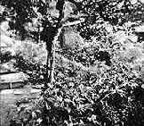 о котором идет речь, предопределено