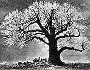 Если освещение было естественным, солнечные